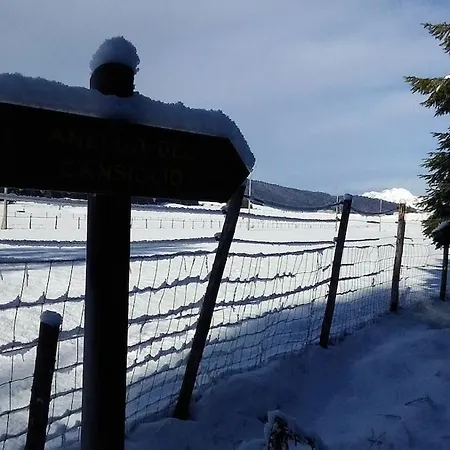 펜션 Dolomiti Bellunesi 벨루노