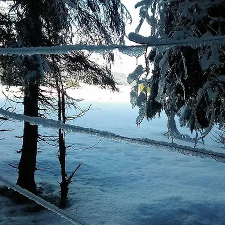 펜션 Dolomiti Bellunesi 벨루노